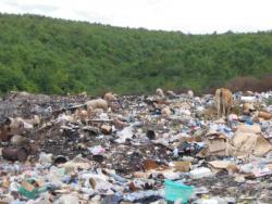 полігонТБО