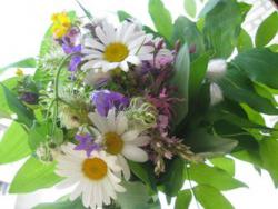 Привітання з Днем Святої Трійці!