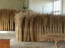 Школи Одеської області обігрівають очеретом