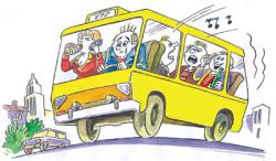 Львівські радіальні маршрути курсують свавільно