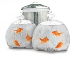 У Львові затвердили зразок... сміттєвої урни