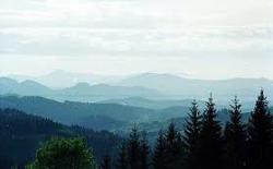 Буковинські дороги ремонтують вчасно