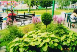 озеленення