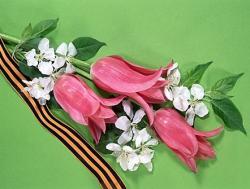 Привітання з Днем Перемоги