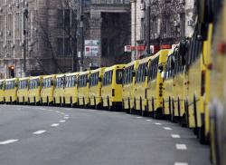 перевізники, автобуси, проїзд