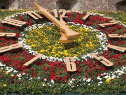 Харківськими парками підуть квіткові стрілки