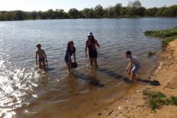 Вінницькі пляжі містяни не впізнають