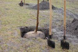 благоустрій