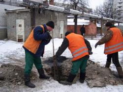 прорив колектора