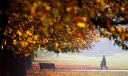 звіт регіонів про готовність до опалювального сезону
