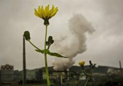 Уже в березні Україні знову дозволять торгувати викидами згідно з Кіотським протоколом