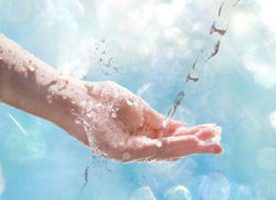 Посадовці очистять воду Миколаєва