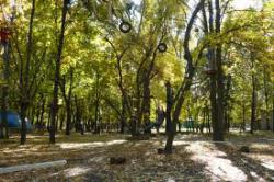 парк Артема