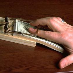  Столичний посадовець «погорів» на утилізації