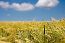 прапор України