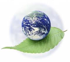 Французи навчатимуть луганчан збирати сміття