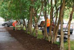 благоустрій зелених зон