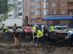 вырубка деревьев