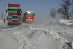 вантажівки