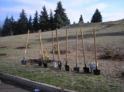 На Дніпропетровщині побільшає дерев і газонів