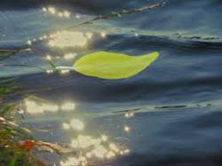 очищення води