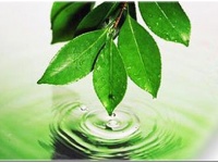 Сумщина стала пілотною областю з впровадження енергозберігаючих технологій