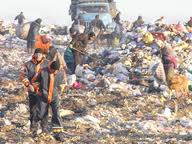 сміттєзвалища