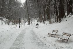 Львівські парки чепурять щоденно