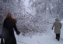 рух транспорту