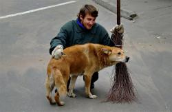 Черкаські безробітні підзаробили на смітті