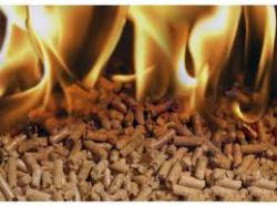 альтернативні види палива