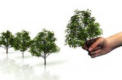 озеленення