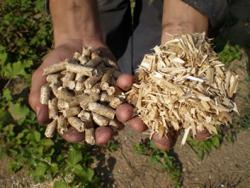 Альтернативне паливо