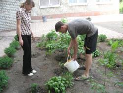 благоустріій