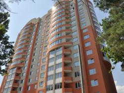 будівництво