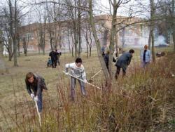 прибирання міста