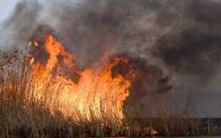 Львів'ян закликають доносити на паліїв