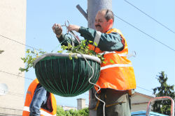 озеленення