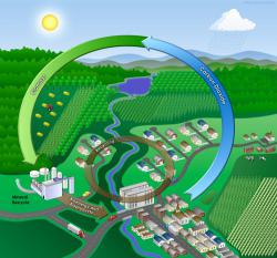 Биоэнергетика укрепит энергетическую безопасность