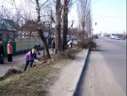 Керівництво Житомира заплатить городянам за прибирання дворів