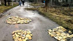 Українські дороги 