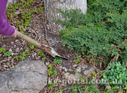 прибирання